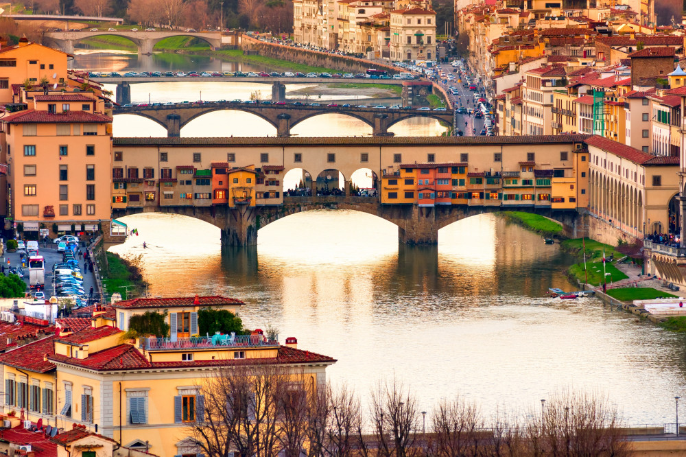 Florence-Michelangelo's David,Uffizi Gallery & City Walking Tour