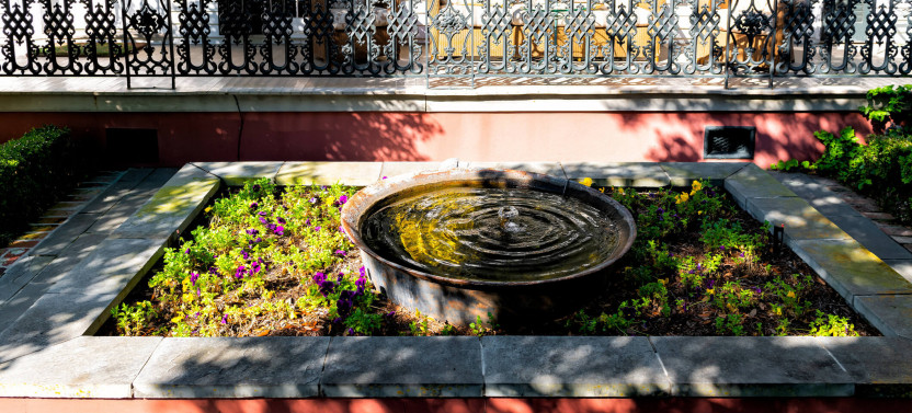 Explore New Orleans' Garden District: Private 2-hour Walking Tour