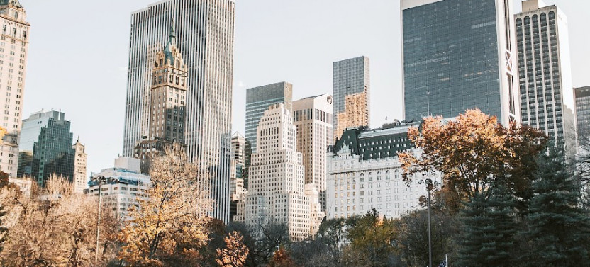 Iconic Central Park Filming Locations: Private New York City Tour