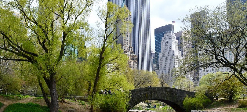 Iconic Central Park Filming Locations: Private New York City Tour