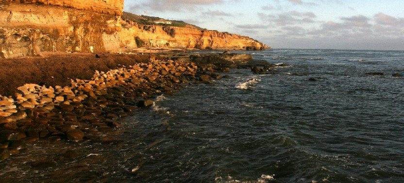 Discover San Diego's Beaches: Private Driving Tour