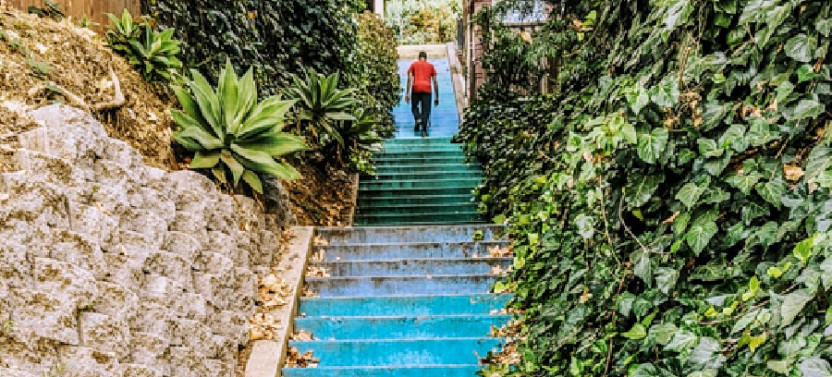 Silver Lake's Hidden Painted Stairways: Private Walking Tour
