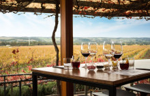 Small Batch Wine Tours1