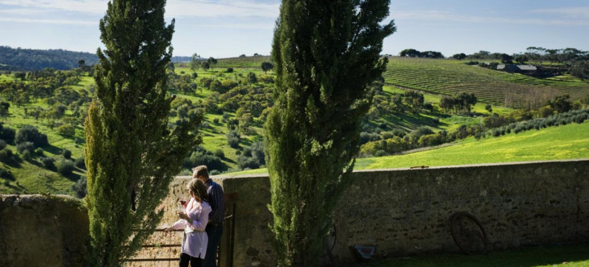 Uncork McLaren Vale - Shared-Group Wine Tour