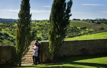 Small Batch Wine Tours2