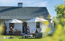 Small Batch Wine Tours3