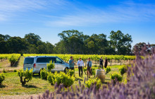 Small Batch Wine Tours4