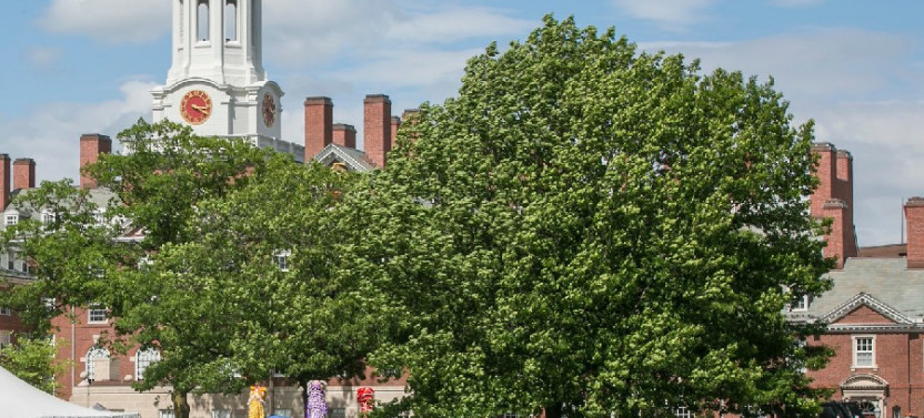 Visit Boston & Cambridge: Private Full-Day Driving Tour