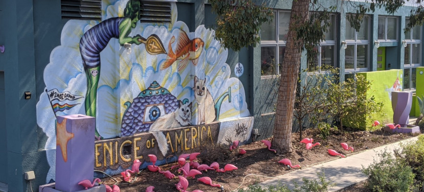 Visit Venice Beach Neighbourhood: Private 2-hour Walking Tour