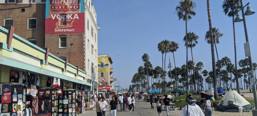 Visit Venice Beach Neighbourhood: Private 2-hour Walking Tour