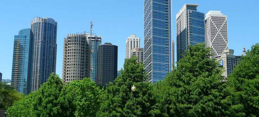 Welcome to Chicago: Half-Day Tour with 360 Observation Deck