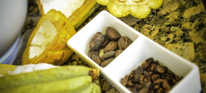 From Beans to Chocolate from North Hotels