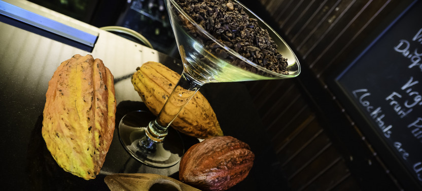 From Beans to Chocolate from North Hotels