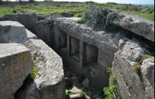 Normandy D-Day Landing Beaches Day Trip from Paris Cider Tasting & Lunch