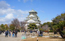 MagicalTrip25