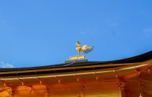 MagicalTrip38