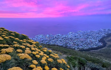 Cape Town Adventure Company11