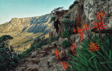 Cape Town Adventure Company13
