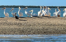 Florida Island Tours Co1