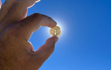 Florida Island Tours Co8