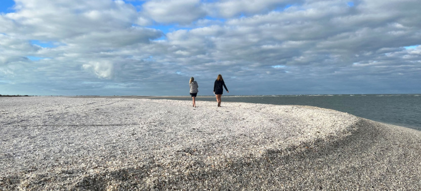 Private or Group: Barrier Island Shelling Tour
