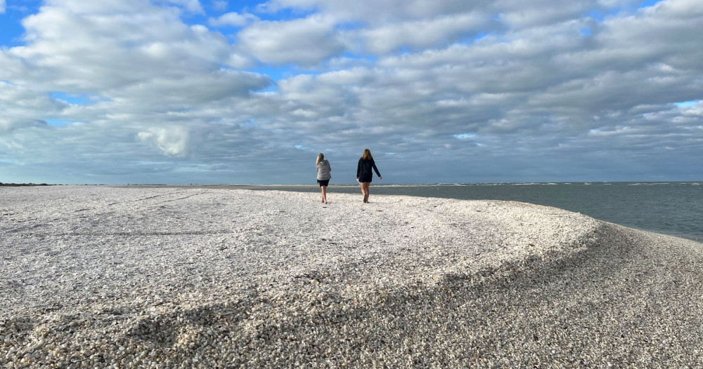 Private or Group: Barrier Island Shelling Tour