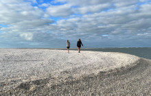 Florida Island Tours Co1