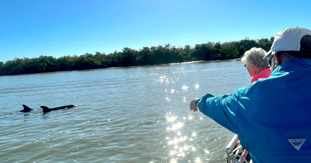 Private or Group: Best of Marco Dolphin Boat Tour