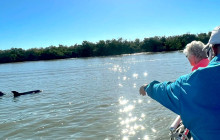 Florida Island Tours Co1