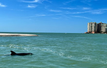 Florida Island Tours Co2