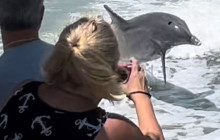 Florida Island Tours Co3