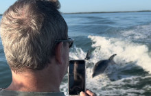 Florida Island Tours Co5