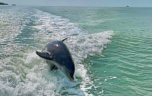 Florida Island Tours Co6