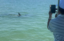 Florida Island Tours Co9