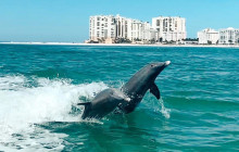 Florida Island Tours Co10