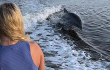 Florida Island Tours Co11