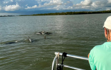 Florida Island Tours Co13