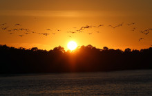 Florida Island Tours Co8