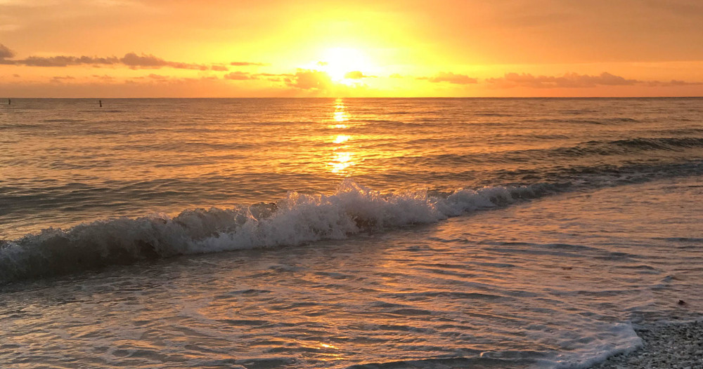 Sunset Boat Cruise with Wildlife and Beach Stop from Marco Island