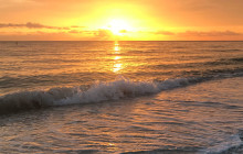 Florida Island Tours Co1