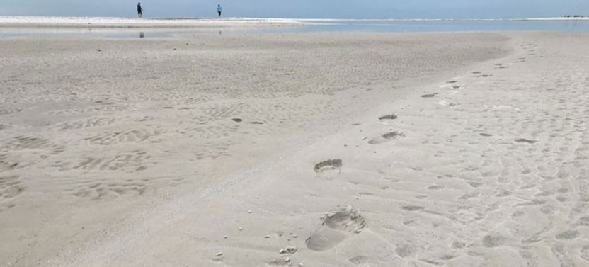 Private Sand Bar Shelling Tour