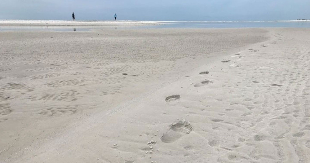 Private Sand Bar Shelling Tour