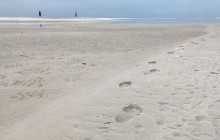 Florida Island Tours Co11