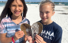 Florida Island Tours Co5