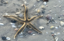 Florida Island Tours Co6