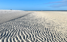 Florida Island Tours Co8