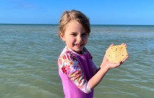 Florida Island Tours Co10