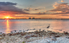 Florida Island Tours Co2