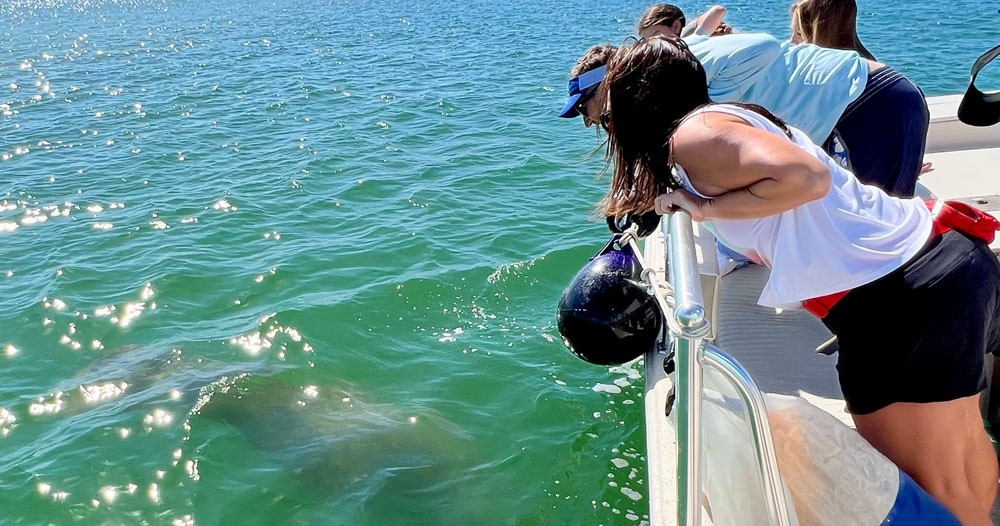 4-Hour Private Boat Tour