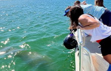 Florida Island Tours Co1